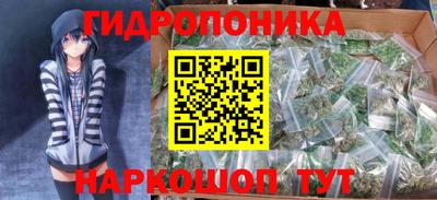 гашик Анжеро-Судженск
