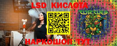 гашик Анжеро-Судженск