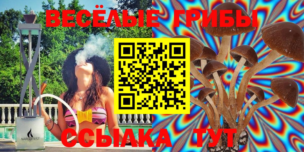 Галлюциногенные грибы мицелий Вичуга