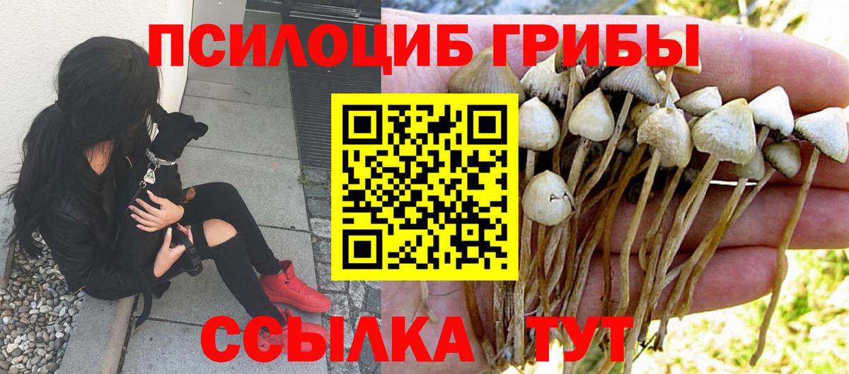 Псилоцибиновые грибы MAGIC MUSHROOMS  Вход с VPN  Вичуга  Галлюциногенные грибы Cubensis 